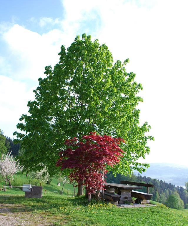 Hochsernerhof Ξενοδοχείο Tiefgraben Εξωτερικό φωτογραφία